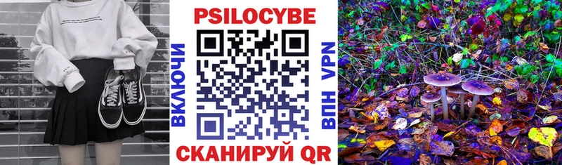 Псилоцибиновые грибы GOLDEN TEACHER  блэк спрут как войти  Рубцовск 